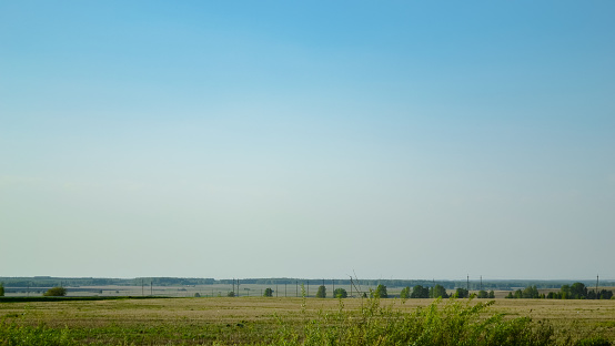 An ordinary field against a clear sky