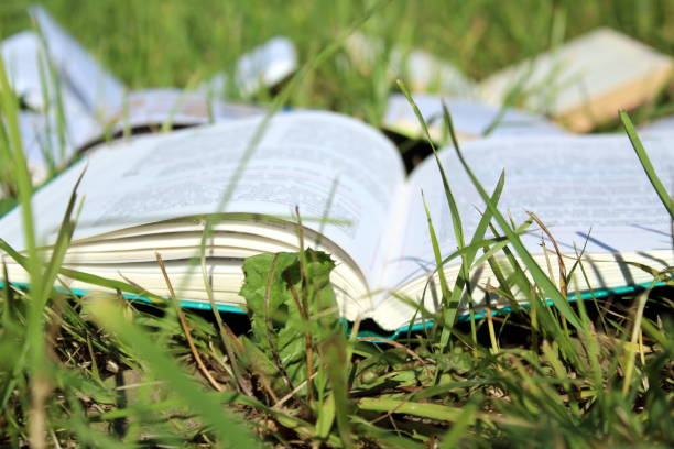 istock An open book lies on the grass under the sun's rays. 1403637780