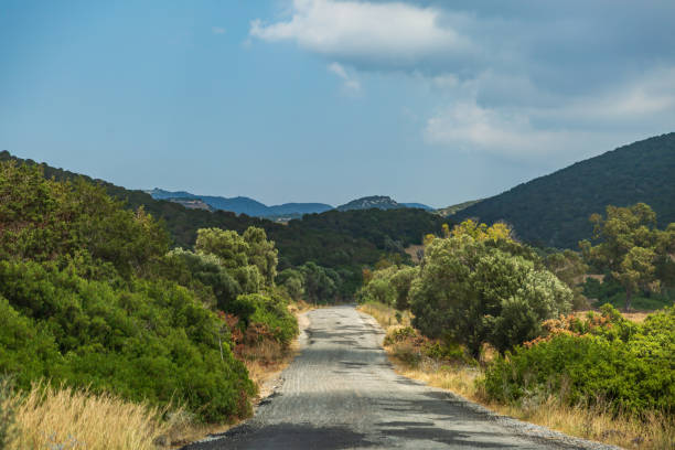 istock A Cypriot Landscape along the Karpas Peninsula 1403641770