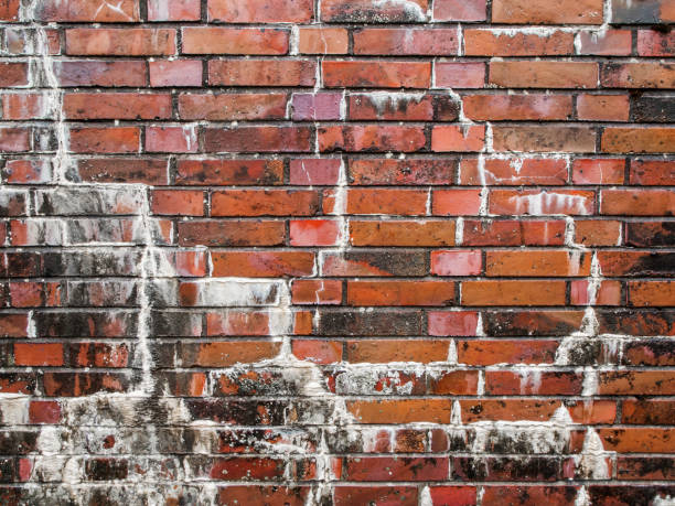 Brick wall with lime efflorescence stock photo