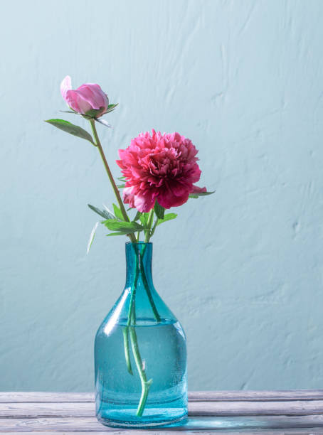 istock pink peonies in glass vase on green background 1403642854
