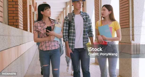 Students Walking And Talking Stock Photo - Download Image Now - Library, Modern, Studying