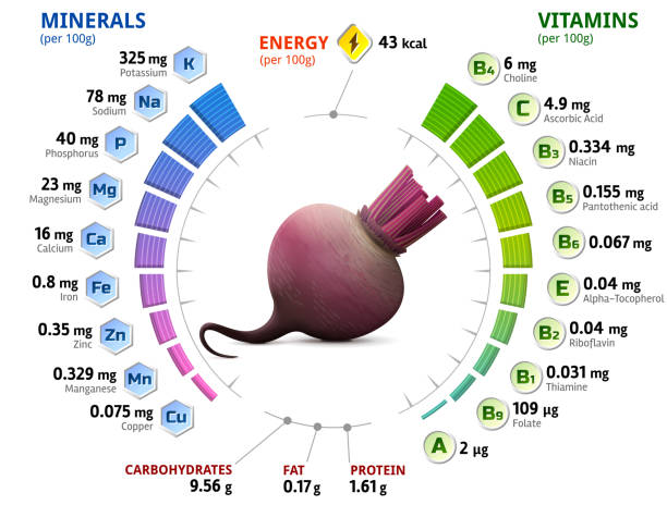 vitamine und mineralstoffe der rote-bete-knolle - vitamin c vitamin a vitamin e vegetable stock-grafiken, -clipart, -cartoons und -symbole