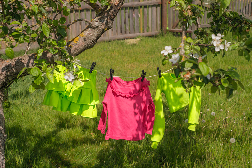 Bright colored children's girly clothes hang on a clothesline in the garden under a flowering apple tree.
