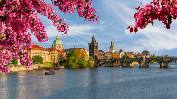 classic prague panorama with old town bridge tower and charles bridge over vltava river in spring, czech republic - prague czech republic bridge charles bridge imagens e fotografias de stock