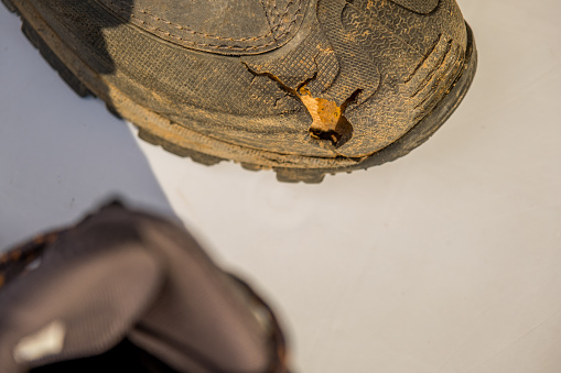 Shoes used in trekking in the field. Smoked shoes are torn at the tip. White background with space for text