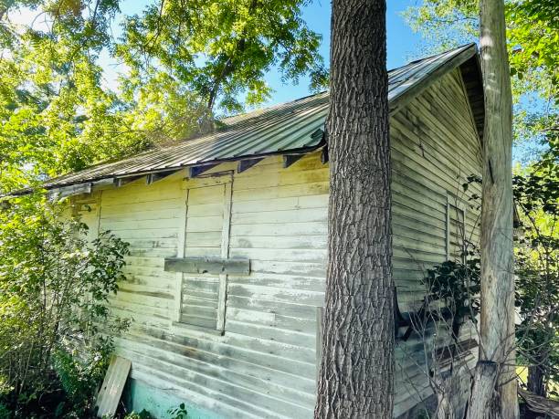 istock Old shack in the woods 1403649961