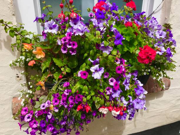 istock Flowers in a Basket 1403650085
