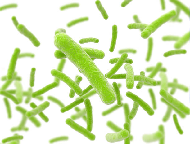 istock bacteria cells flowing isolated on white background 1403650304