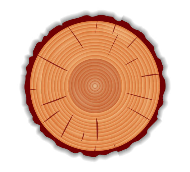 вырубка древесины 1 - wood lumber industry tree ring wood grain stock illustrations