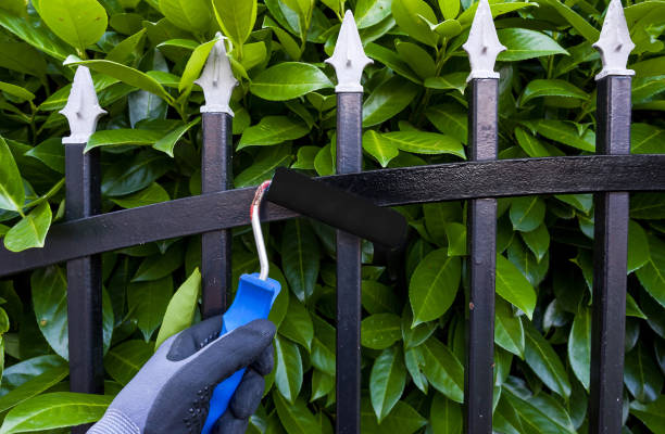 istock painting fence 1403651707