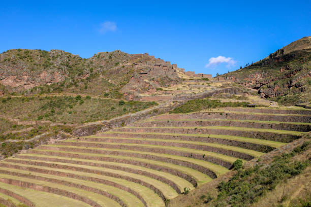 istock Nice view of the Pisac ruins in Cusco. 1403655350