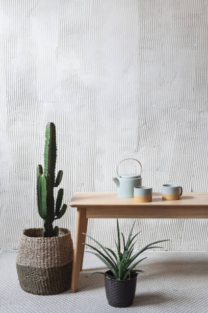 Cacti in pots and service set on wooden table