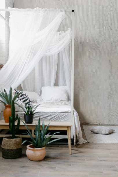 istock Houseplants close to boho chic bed with cushions, plaid and canopy 1403659608