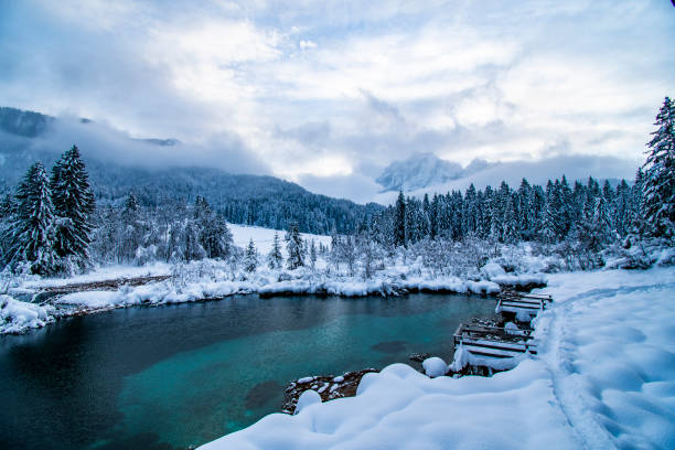 istock Sava river spring, Zelenci, Gorenjska region, Slovenia 1403661087