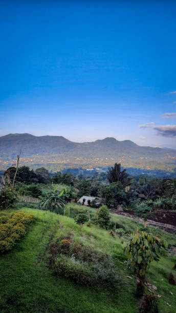 istock Mahoni Tourism Park 1403666113