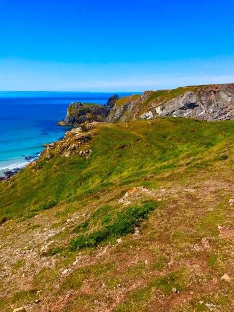 istock Cornwall Coastline, Lizard Peninsula, and Mullion Cove 1403667432