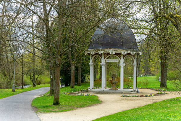 istock Marianske Lazne CZ - Alexandra Spring in the spacious park in springtime 1403670621