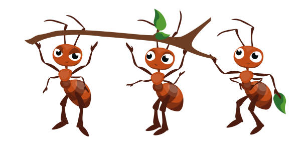 stockillustraties, clipart, cartoons en iconen met vector illustration of cute and beautiful ants on white background. charming characters in different poses holding a stick chief, assistant and corrector cartoon style. - mier