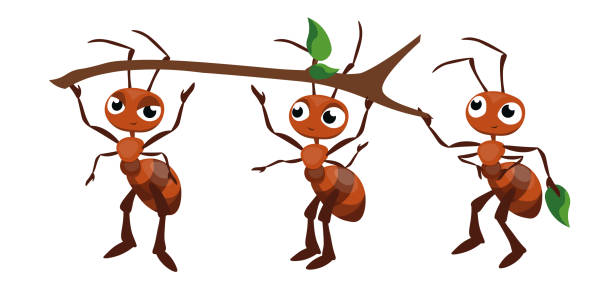 Vector illustration of cute and beautiful ants on white background. Charming characters in different poses holding a stick chief, assistant and corrector cartoon style. Vector illustration of cute and beautiful ants on white background. Charming characters in different poses holding a stick chief, assistant and corrector in cartoon style. ant stock illustrations