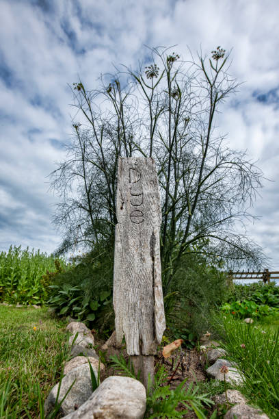 istock Dye Sign in Garden 1403674890