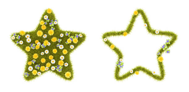 istock Flowery Grassy Star Shape Isolated on White 1403675142