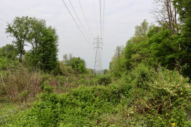 istock Power Towers in the Field 1403675230