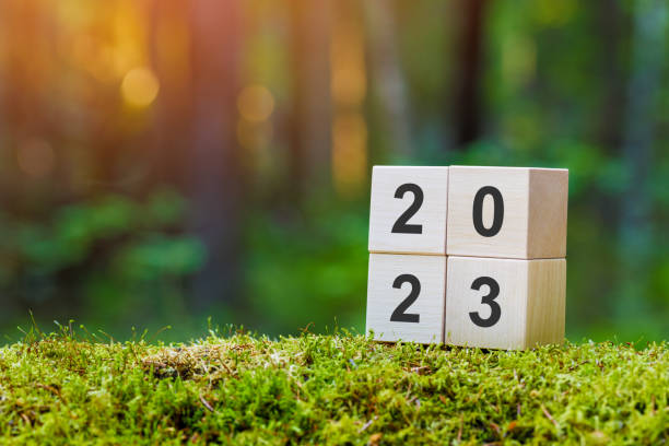istock Wooden blocks with numbers 2023 on old mossy fallen tree in green forest copy space. 1403675372