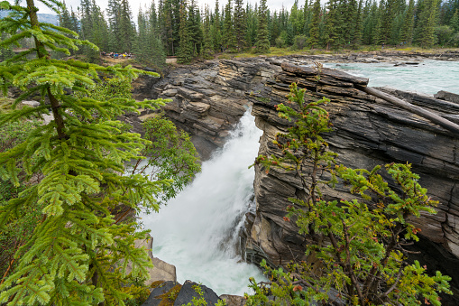 Mighty Athabasca Falls on a cloudy, rainy day in Jasper National Park, Alberta, Canada. Hazy mountains in the background. Rainy summer in Canadian Rockies