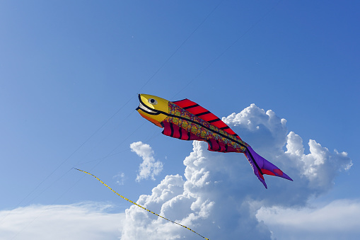 Kite in the shape of fish in the blue sky with cloud in a kite festival