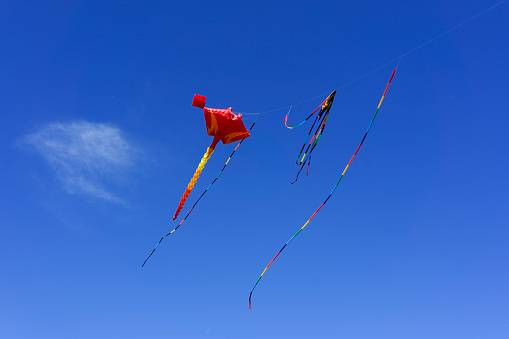 Red kite in the shape of a cramp-fish flying in the blue sky on bright sunny day