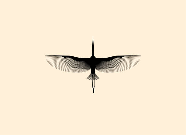 Flying bird stork silhouette logo or icon design template isolated on white background. vector art illustration