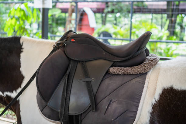 istock Close up saddle on horse 1403683299