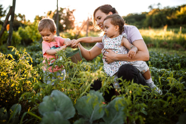 istock Children working in garden with mother 1403684520