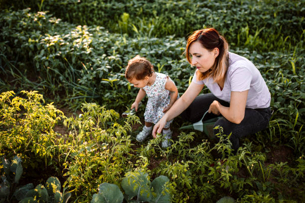 istock Mother and daughter picking up scalions in garden 1403684581