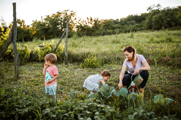 istock Children working in garden with mother 1403684624