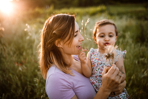 Portrait of mother and cute little daughter in meadow in sunset, blowing dandelion