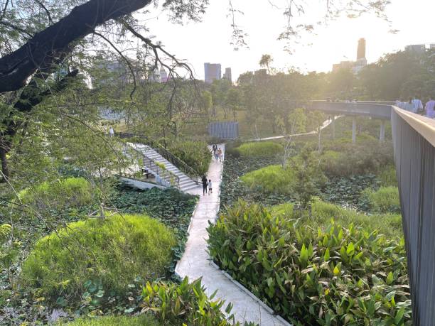 istock Thai public park in Bangkok. 1403690226