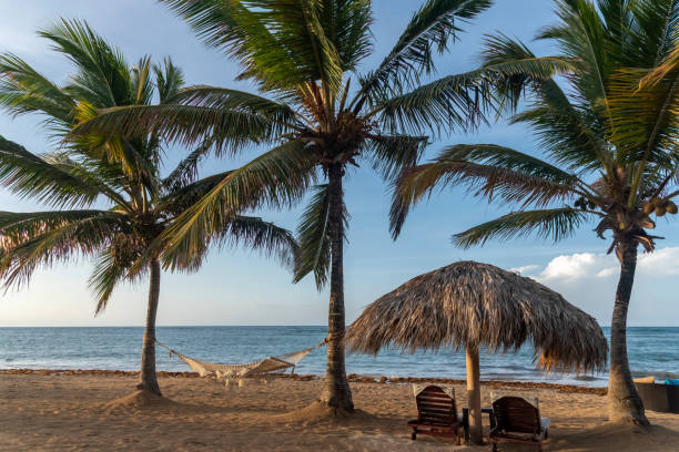 istock Beach chairs facing the sea and hammocks 3 1403690351