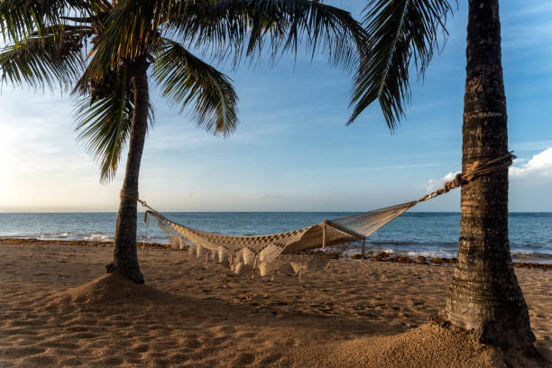 Caribbean Beach with hammocks facing the sea 1 stock photo
