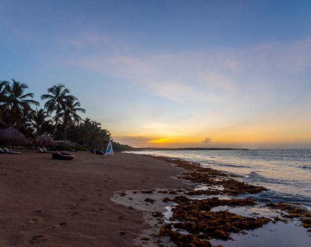 Caribbean beaches at sundown with zargazos stock photo