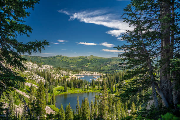 Mountain Lakes and Meadows In Utah stock photo