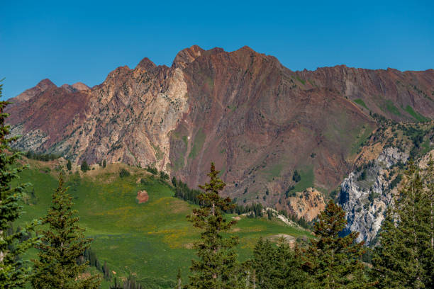 A lush, grass covered valley , in the Wasatch Mountains of Utah.  Image shows the rise of a mountainside beyond the valley.