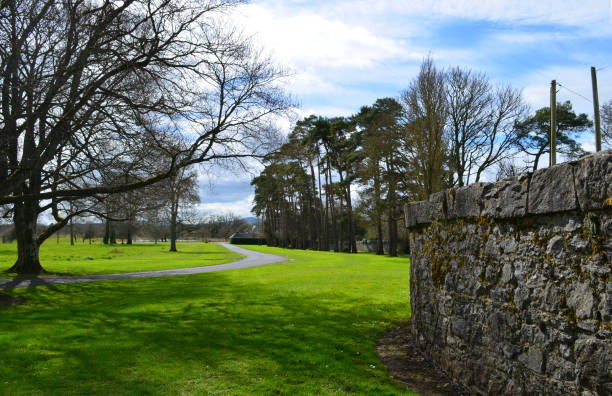 Long Drive into Adare Manor in Ireland stock photo