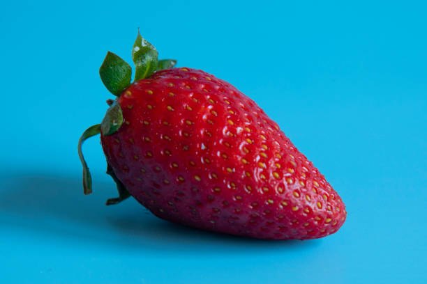 istock one big strawberry isolated on blue background 1403704221