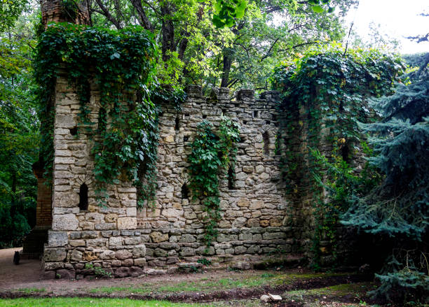 istock brick walls in park covered with wild grape leaves 1403707555