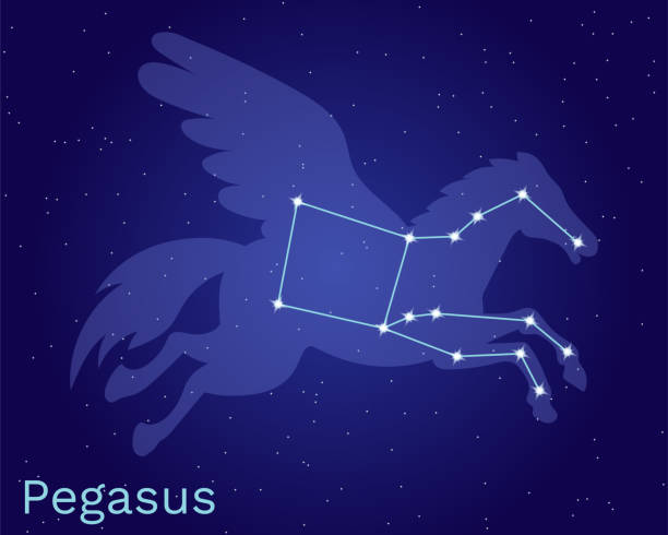 illustrations, cliparts, dessins animés et icônes de illustration vectorielle représentant la constellation de pégase. cheval ailé de la mythologie grecque - asterism