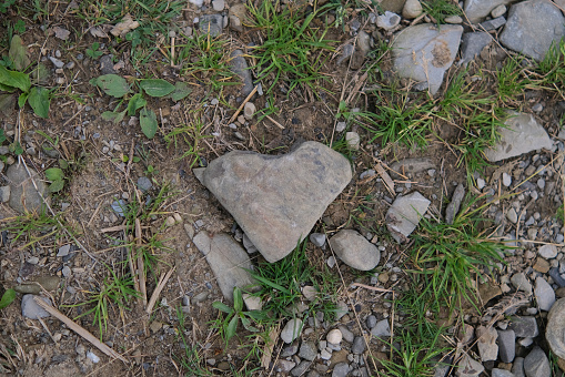 Stone in the shape of a heart in the forest.