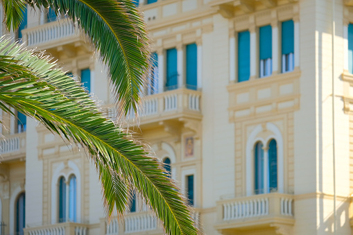 Warm sunlight shines on palm fronds with beautiful mediterranean architecture in background.