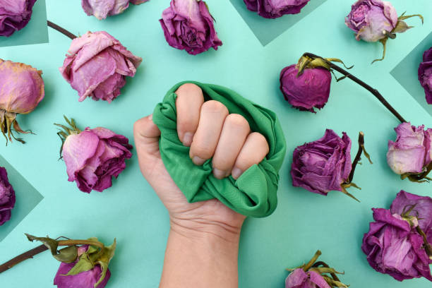 Support to the social feminist movement